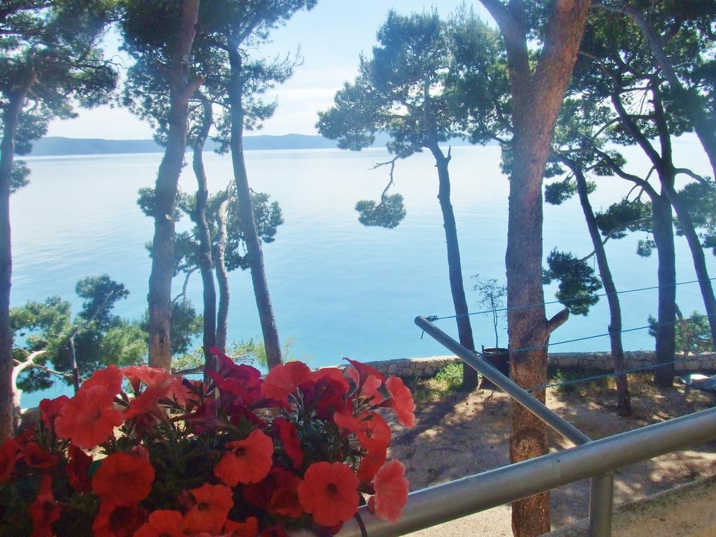 Apartment Jelas Živogošće Rom bilde